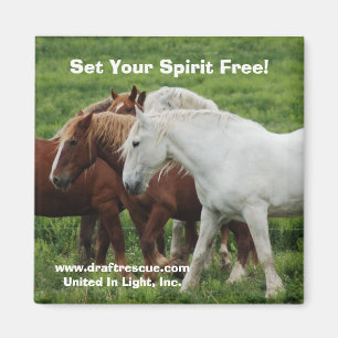 Placez votre esprit libre ! Aimant