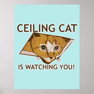 Plafondkatje Poster