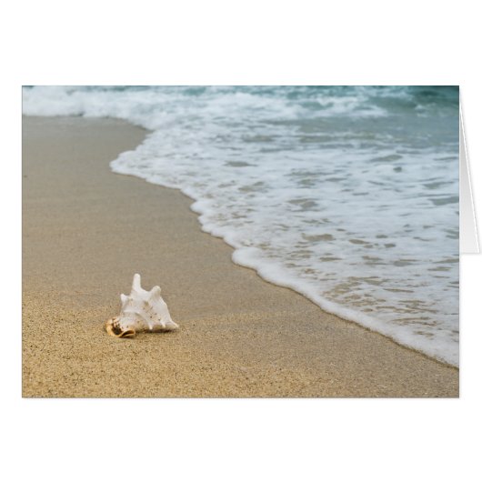Plage (Devant horizontal)