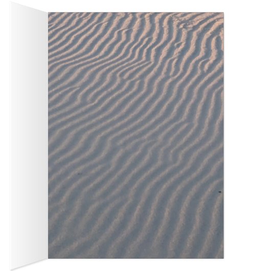 Plage (Intérieur (Droit))