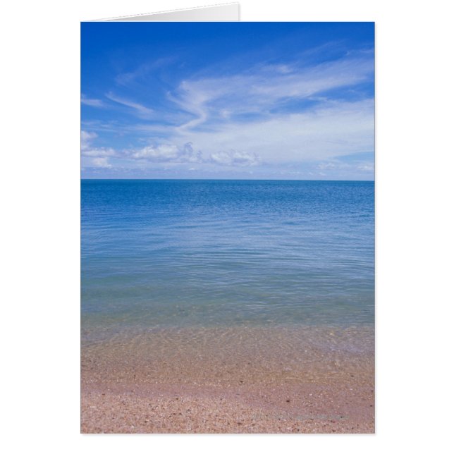 Plage à marée basse (Devant)