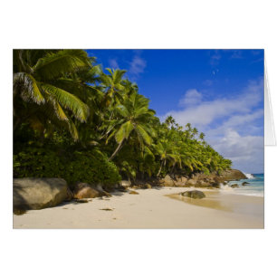Plage Anse Victorin 3