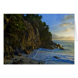 Plage Ansi Victorin 2