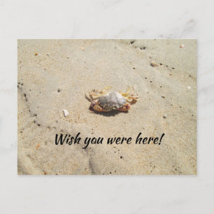 Plage avec carte postale de crabe