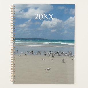 Plage avec mouettes