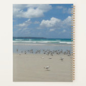 Plage avec mouettes (Dos)