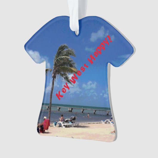 Plage avec Palm de coco (devant)