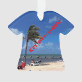 Plage avec Palm de coco (devant)