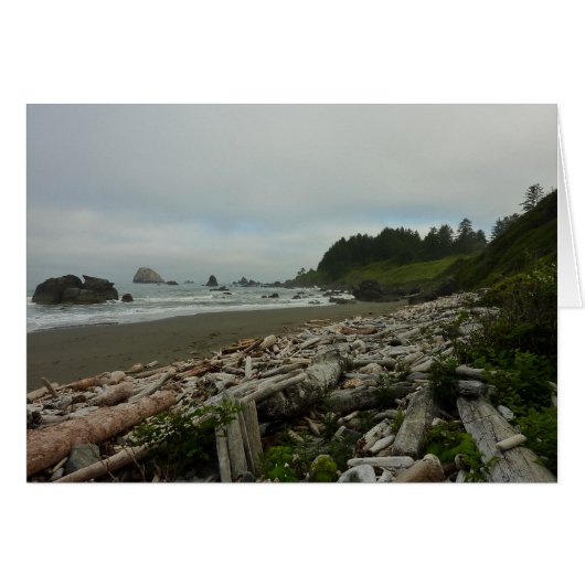 Plage cachée I du parc national de Redwood (Devant horizontal)