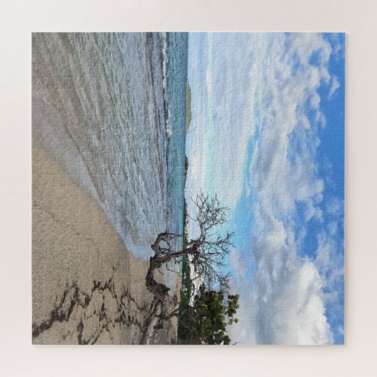 Plage calme - St Croix, USVI Puzzle (Horizontal)