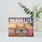PLAGE CHAT GINGER LUNETTES DE SOLEIL CARTE POSTALE (Debout devant)