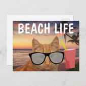PLAGE CHAT GINGER LUNETTES DE SOLEIL CARTE POSTALE (Devant / Derrière)