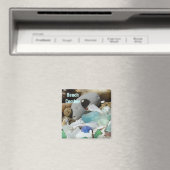 Plage Comber magnet Seaglass Sea Glass Fossiles (In Situ (Lave-vaisselle))