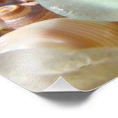 Plage côtière Seaglass Photographies d'art (Coin)
