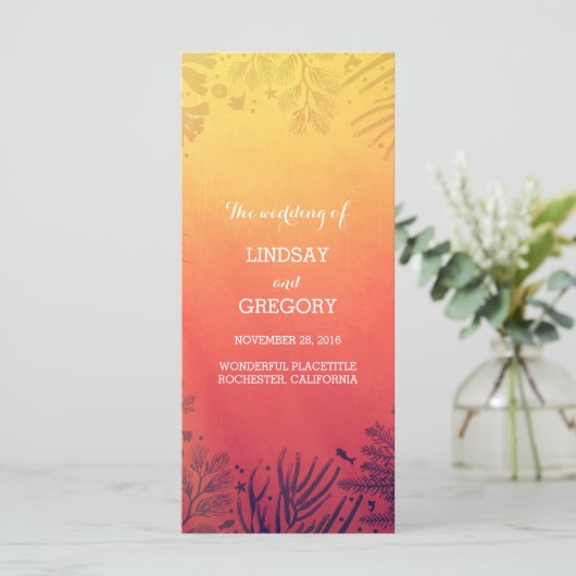 plage coucher de soleil océan programmes de mariag (Debout devant)