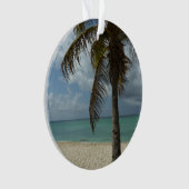 Plage d'Aruba I Belle Scène Nature (devant)