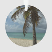Plage d'Aruba I Belle Scène Nature (dos)