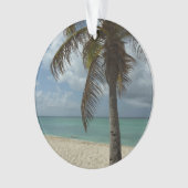 Plage d'Aruba I Belle Scène Nature (devant)