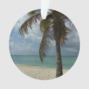 Plage d'Aruba I Belle Scène Nature
