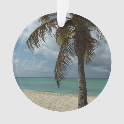 Plage d'Aruba I Belle Scène Nature (devant)