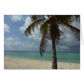 Plage d'Aruba I Belle Scène Nature (Devant horizontal)