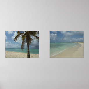 Plage d'Aruba I Belle Scène Nature