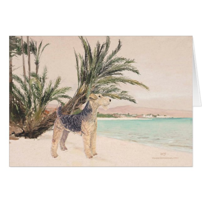 Plage de Palmy (Devant horizontal)