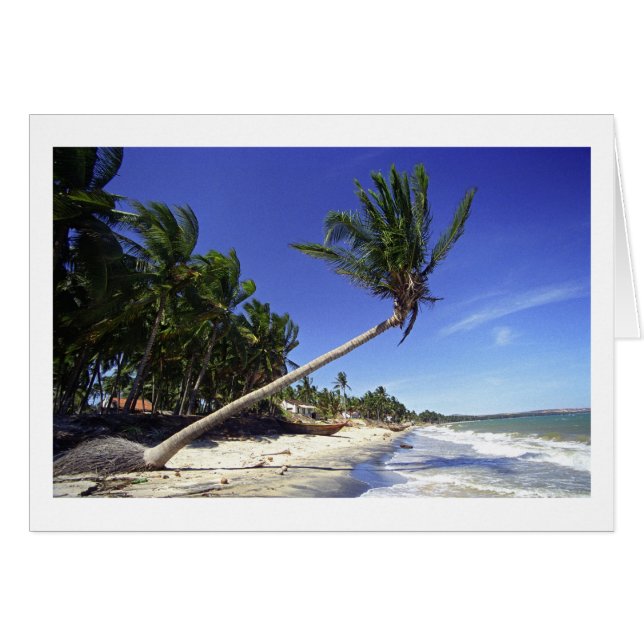 Plage de sable blanc avec palmiers, Mui Ne (Vietna (Devant horizontal)