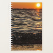 plage de soleil (Devant)