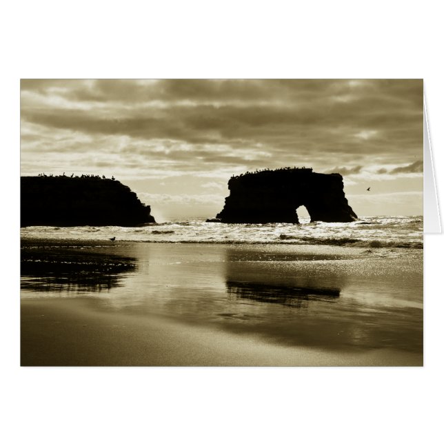 Plage d'état naturelle de ponts (Devant horizontal)