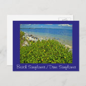 Plage / Dune Sunflower carte postale ou invitation (Devant / Derrière)
