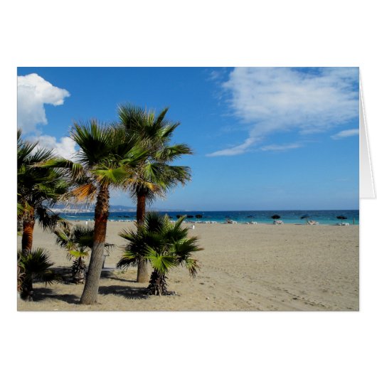 Plage et palmiers à Puerto Banus (Devant horizontal)