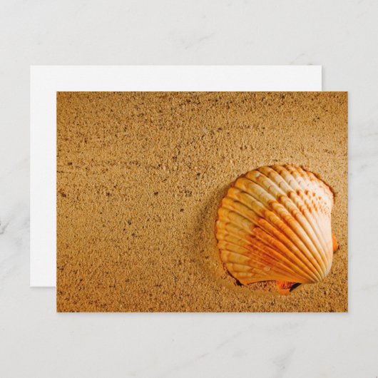 Plage Mariage Tropical RSVP Invitation (Devant / Derrière)