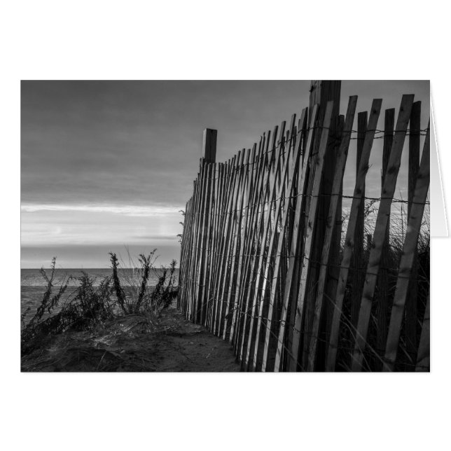 Plage noire et blanche (Devant horizontal)