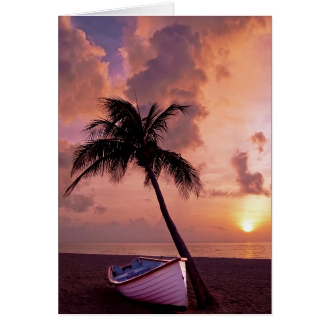 Plage, océan, palmier, bateau et coucher de soleil (Devant)