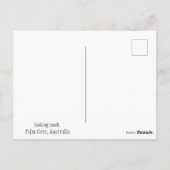 plage, palmiers à Palm Cove carte postale (Dos)