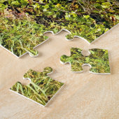 Plage paysage Australie puzzle (Côté)