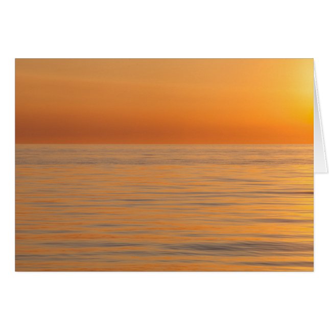 Plage rêveuse orange (Devant horizontal)