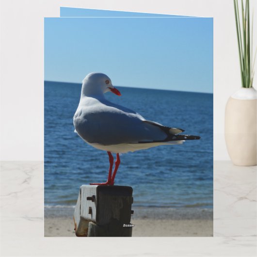 Plage Sea Gull, Jumbo Carte d'anniversaire (Dos)