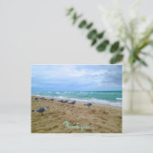 Plage Seagull merci carte postale (Debout devant)