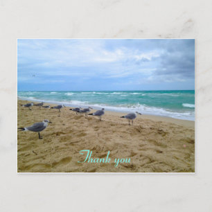 Plage Seagull merci carte postale