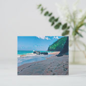 Plage secrète, carte postale de Kauai (Debout devant)