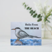 Plage Tern Seagull Hello Carte postale (Debout devant)