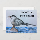 Plage Tern Seagull Hello Carte postale (Devant / Derrière)