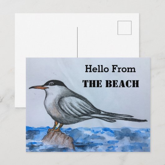 Plage Tern Seagull Hello Carte postale (Devant / Derrière)