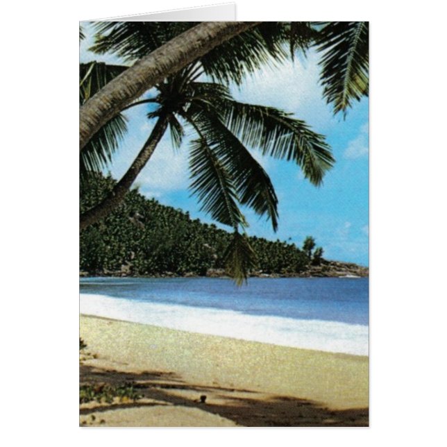 Plage tropicale (Devant)