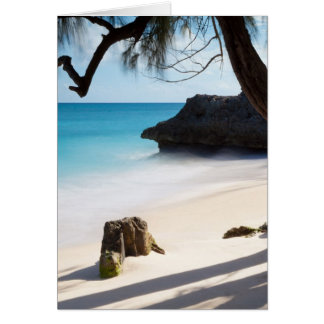 Plage tropicale