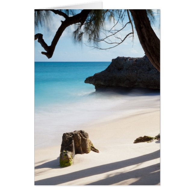 Plage tropicale (Devant)