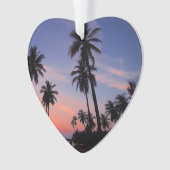 Plage tropicale coucher de soleil Photo personnali (devant)