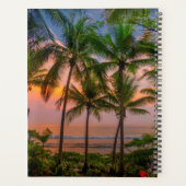 Plage tropicale | Parc national du Corcovado (Dos)